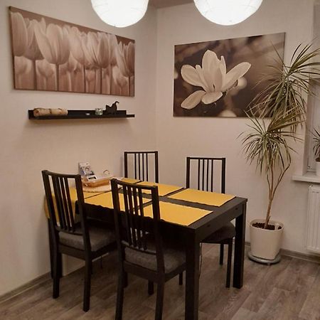 Apartment Riegerovka Cheb Exterior photo