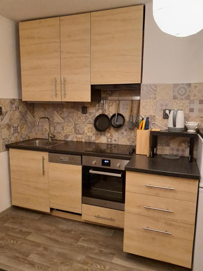 Apartment Riegerovka Cheb Exterior photo