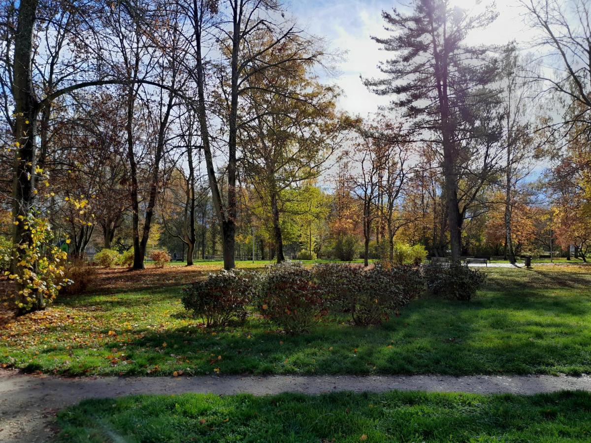 Apartment Riegerovka Cheb Exterior photo