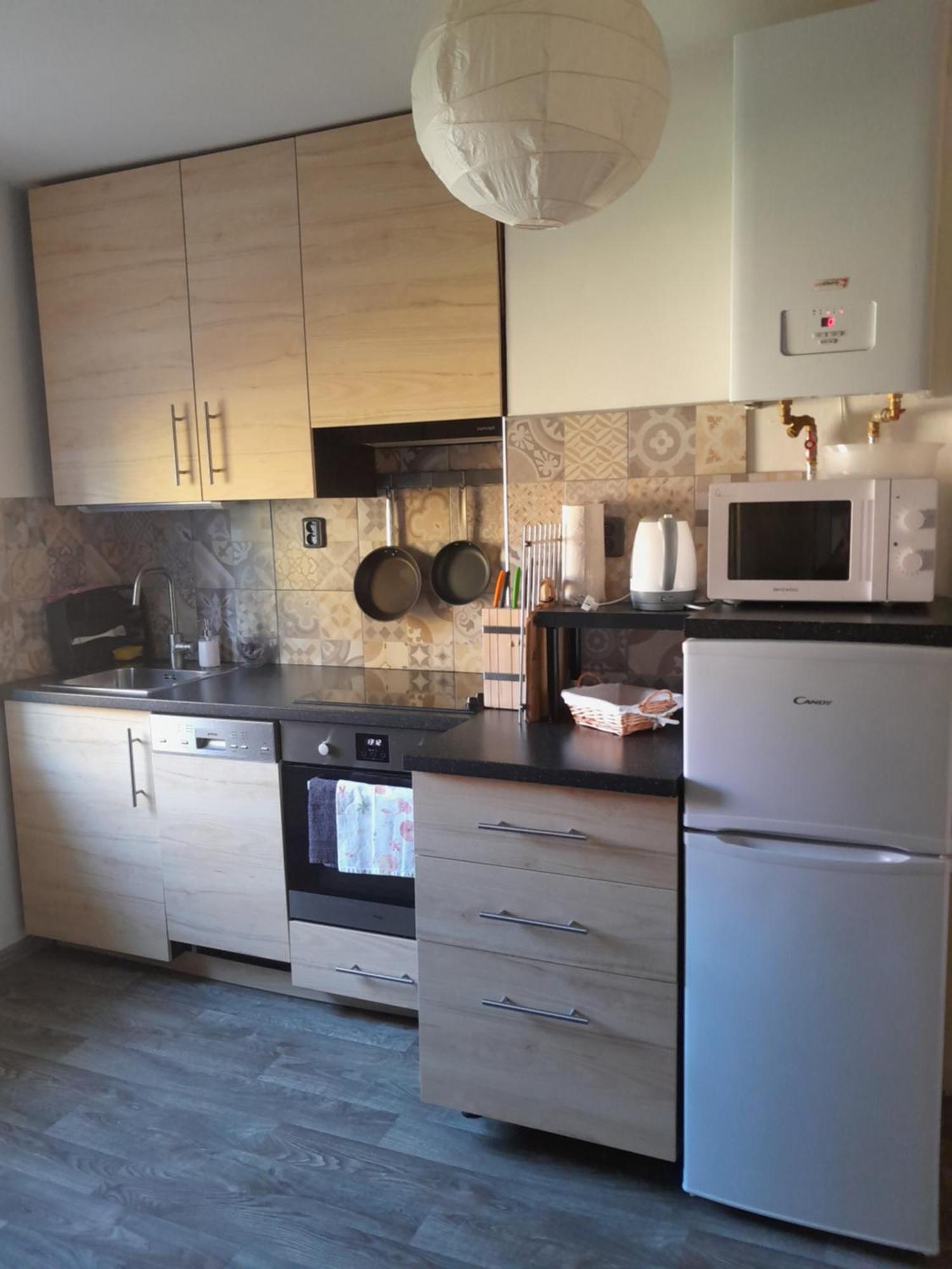 Apartment Riegerovka Cheb Exterior photo
