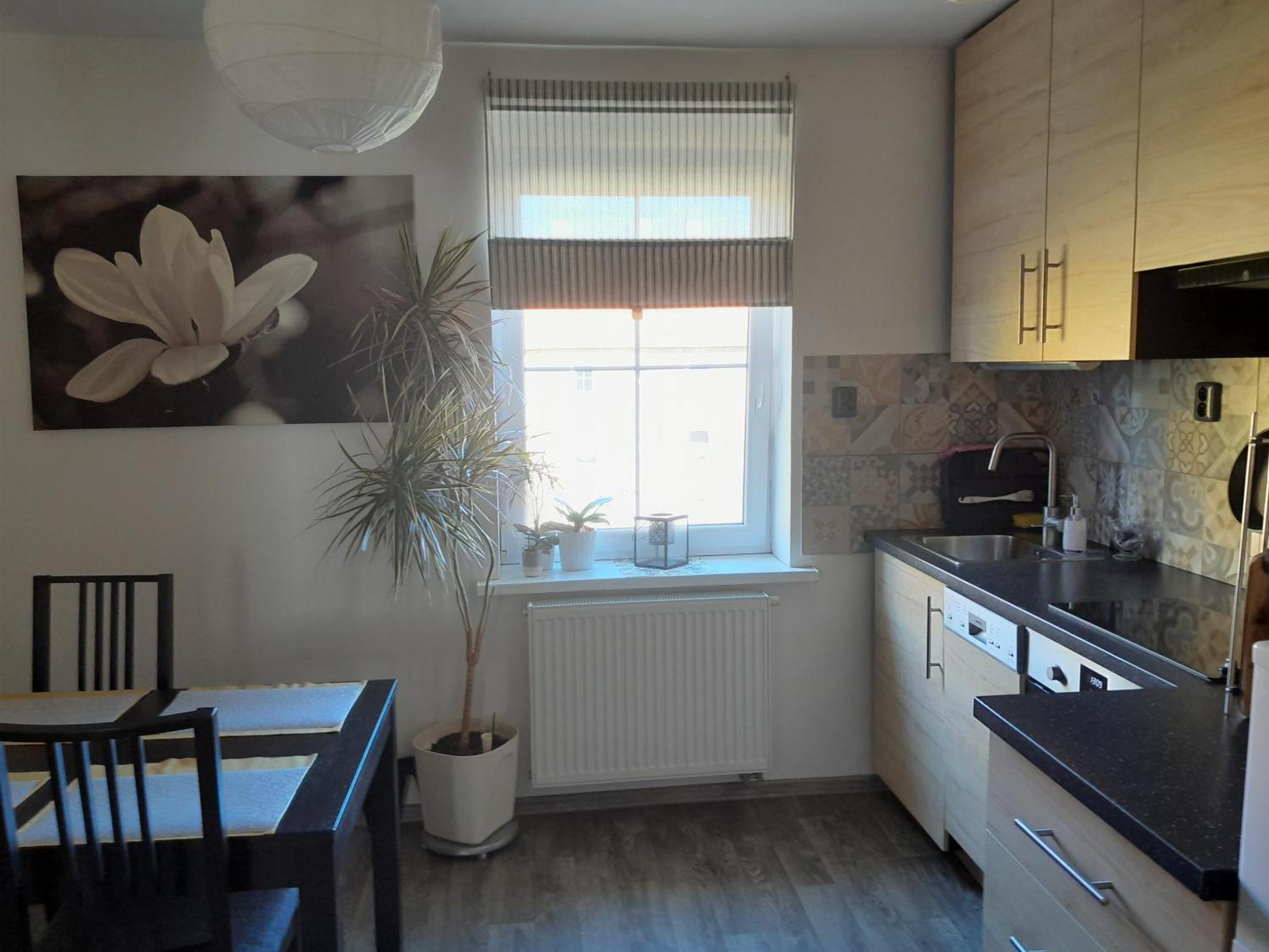 Apartment Riegerovka Cheb Exterior photo