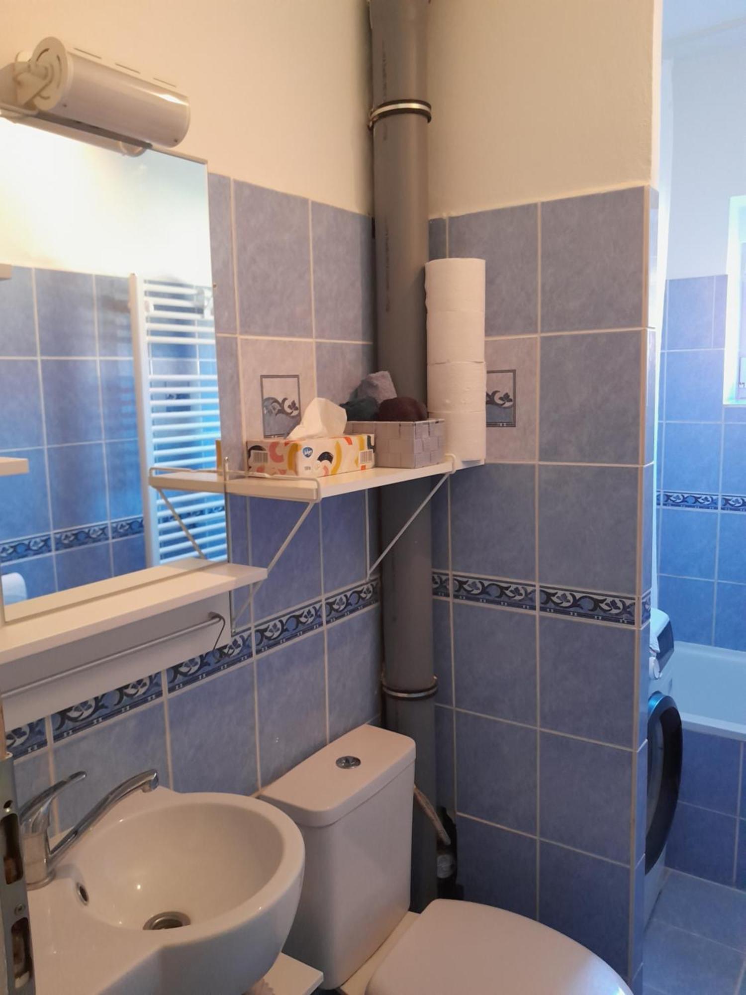 Apartment Riegerovka Cheb Exterior photo