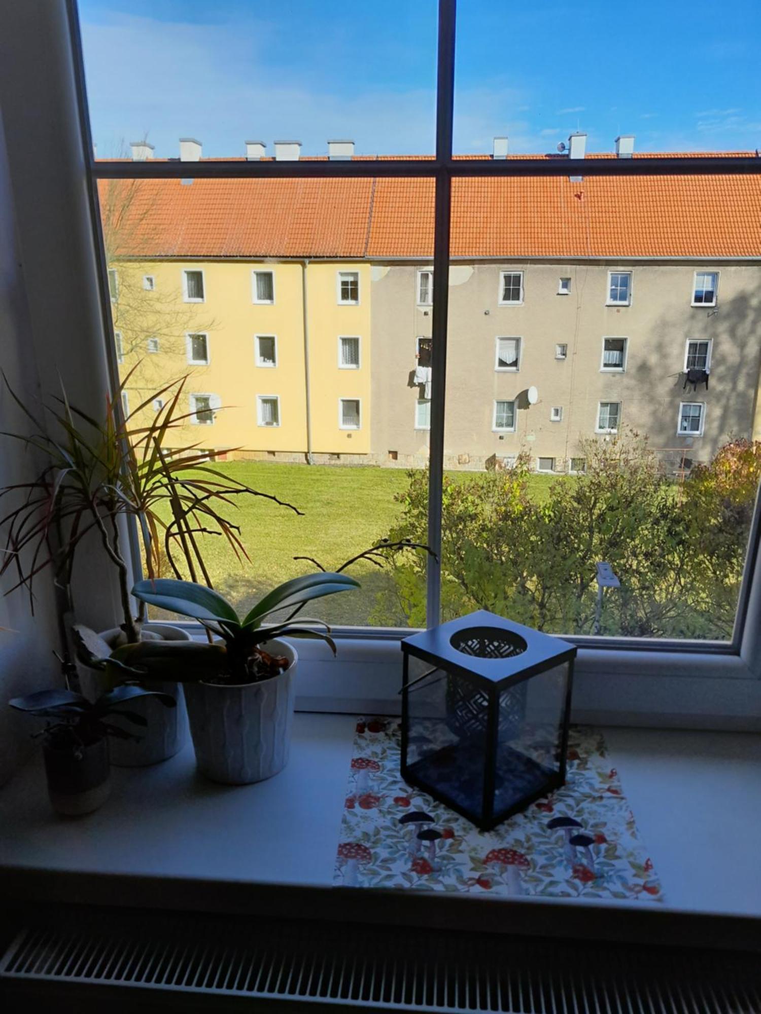 Apartment Riegerovka Cheb Exterior photo